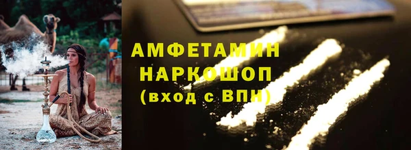 spice Инта
