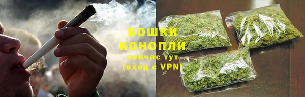 spice Инта