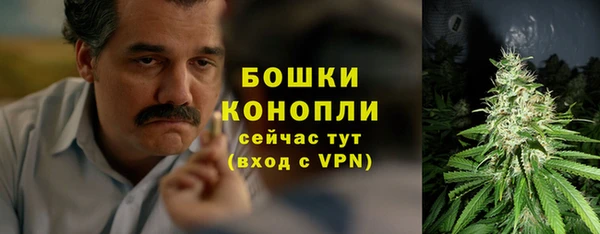 бошки Иннополис