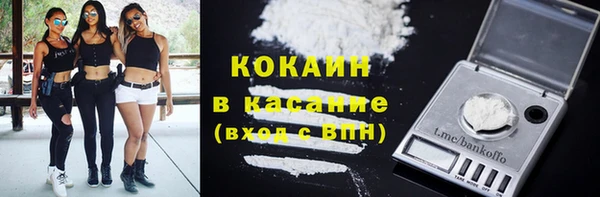 spice Инта