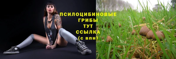 бошки Иннополис