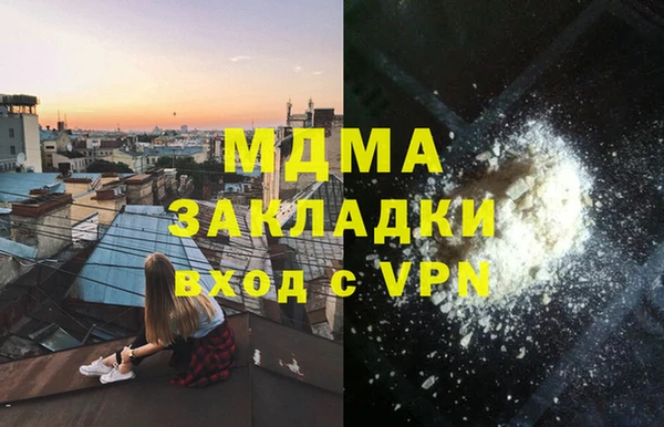 spice Инта