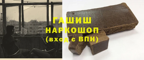 spice Инта