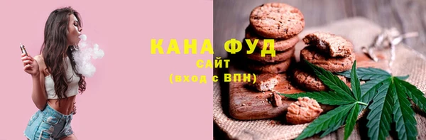 spice Инта