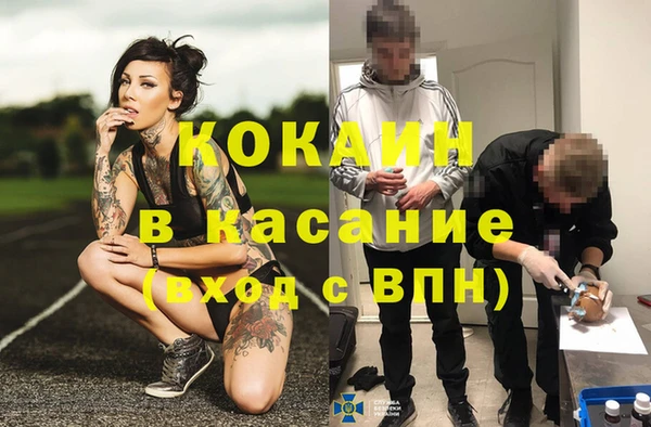 spice Инта