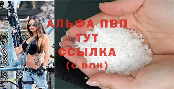 spice Инта