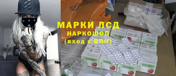 spice Инта