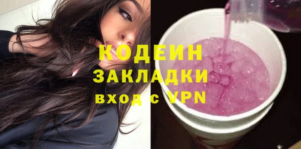 spice Инта