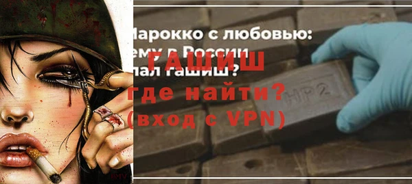 spice Инта