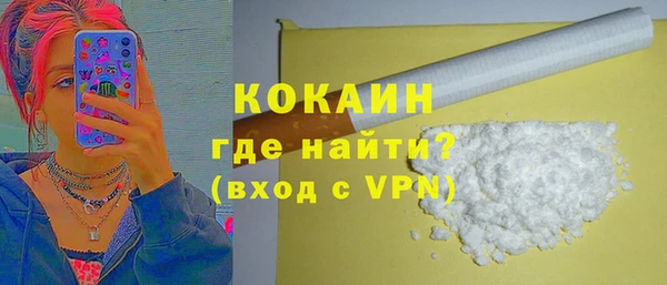 spice Инта